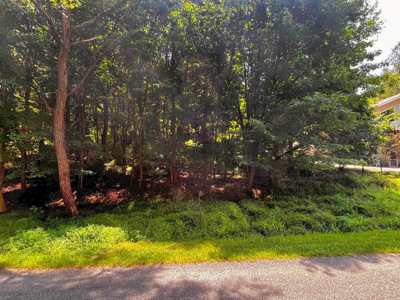 0 Lakeview Heights Drive - Photo 1