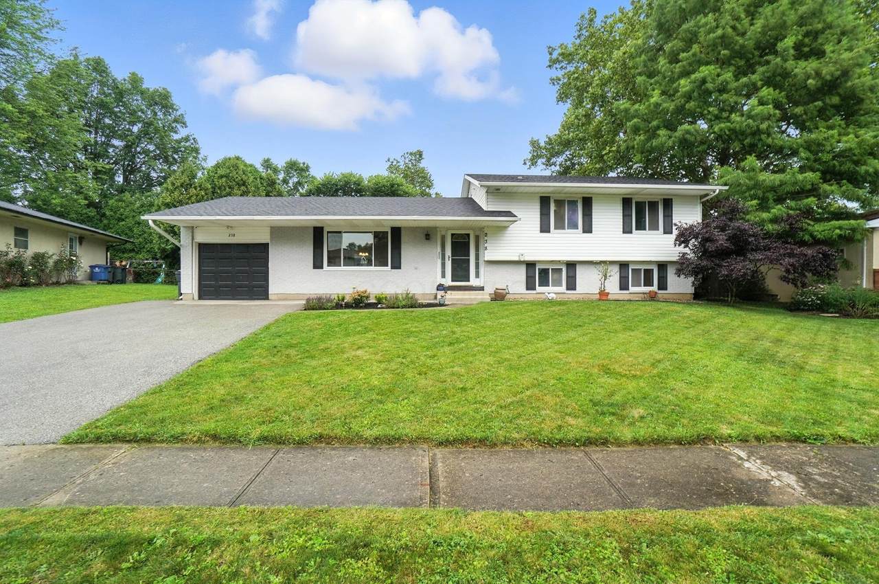 238 Dunbarton Road - Photo 1