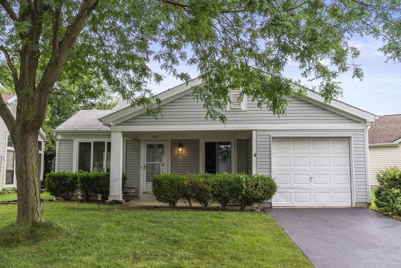 5615 Marita Lane - Photo 1