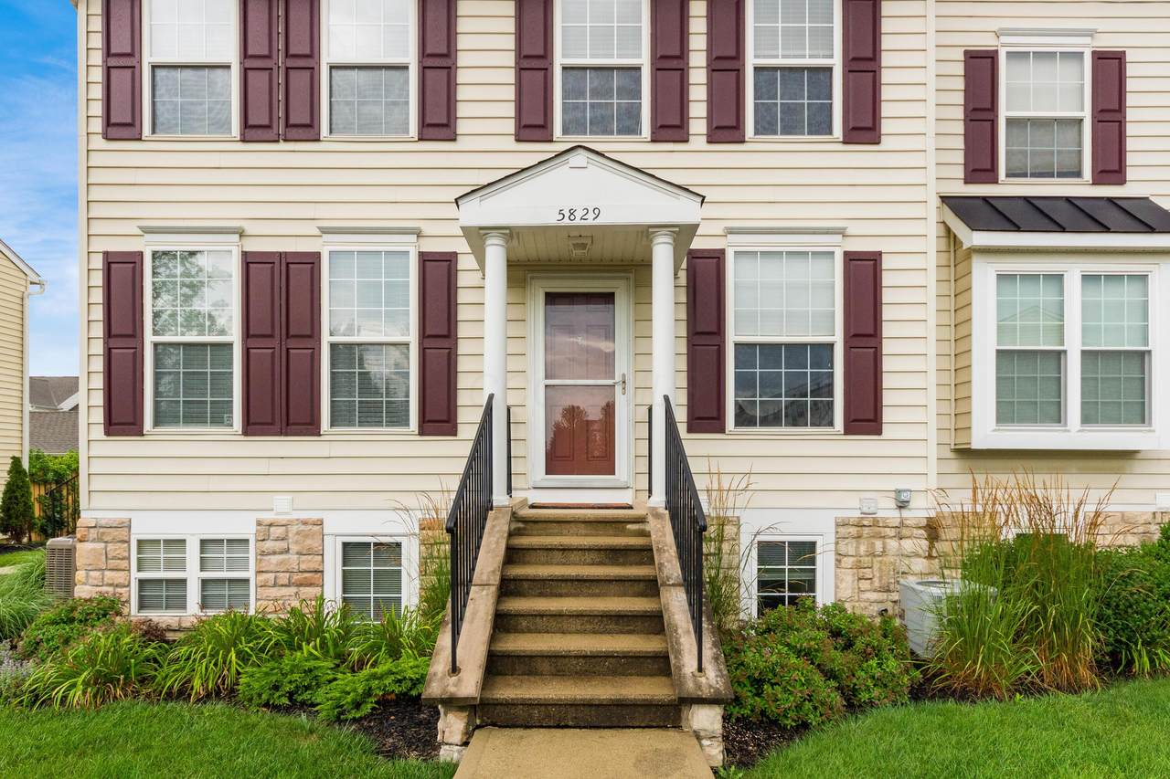 5829-3 Andrew John Drive - Photo 1