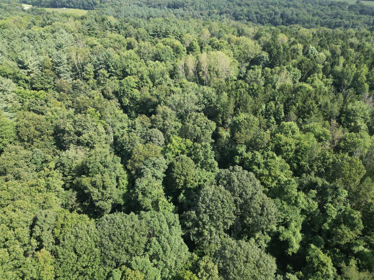 0 Toll Gate Road - Photo 1