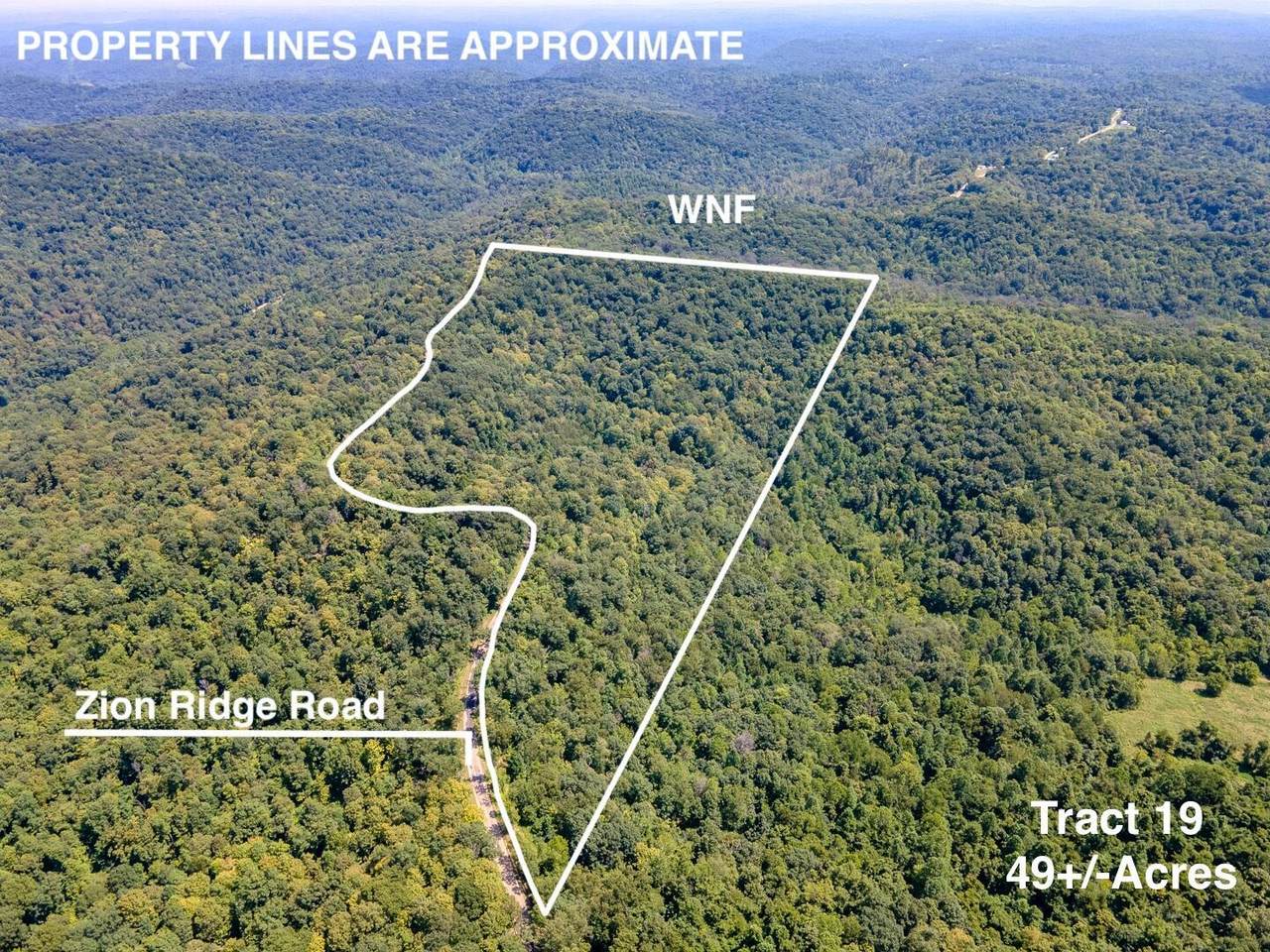 Tract 19 Zion Ridge Road - Photo 1