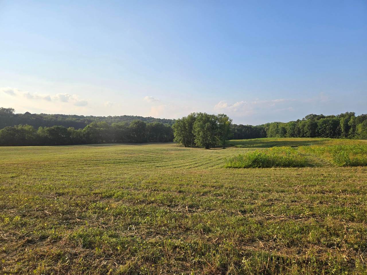 24310 Shurtz Road - Photo 1