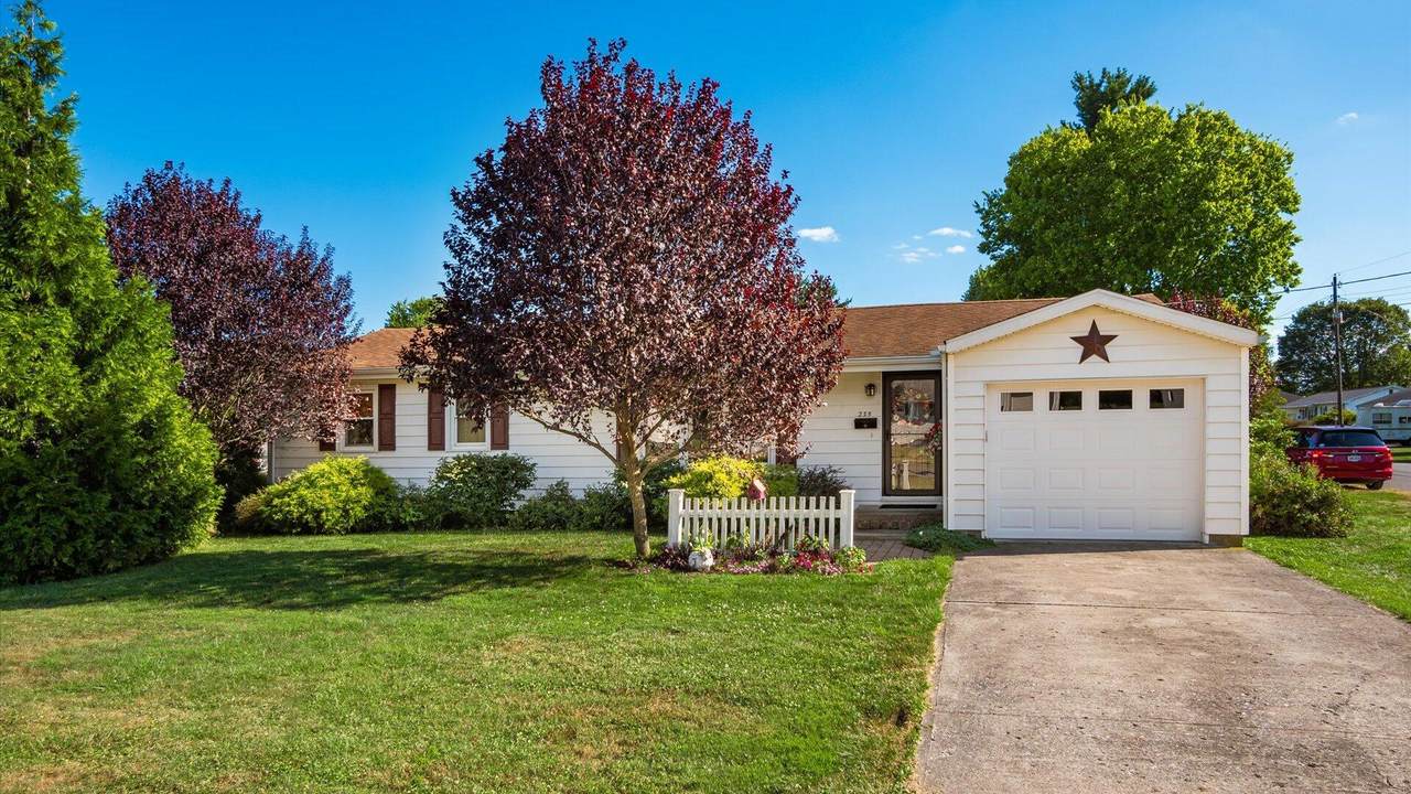 235 Cynthia Street - Photo 1