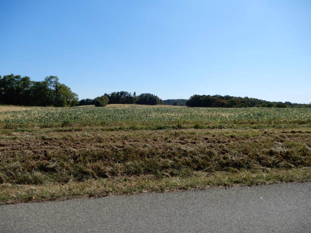 17970 Scott Road - Photo 1