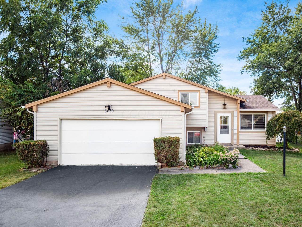 5639 Nike Drive - Photo 1