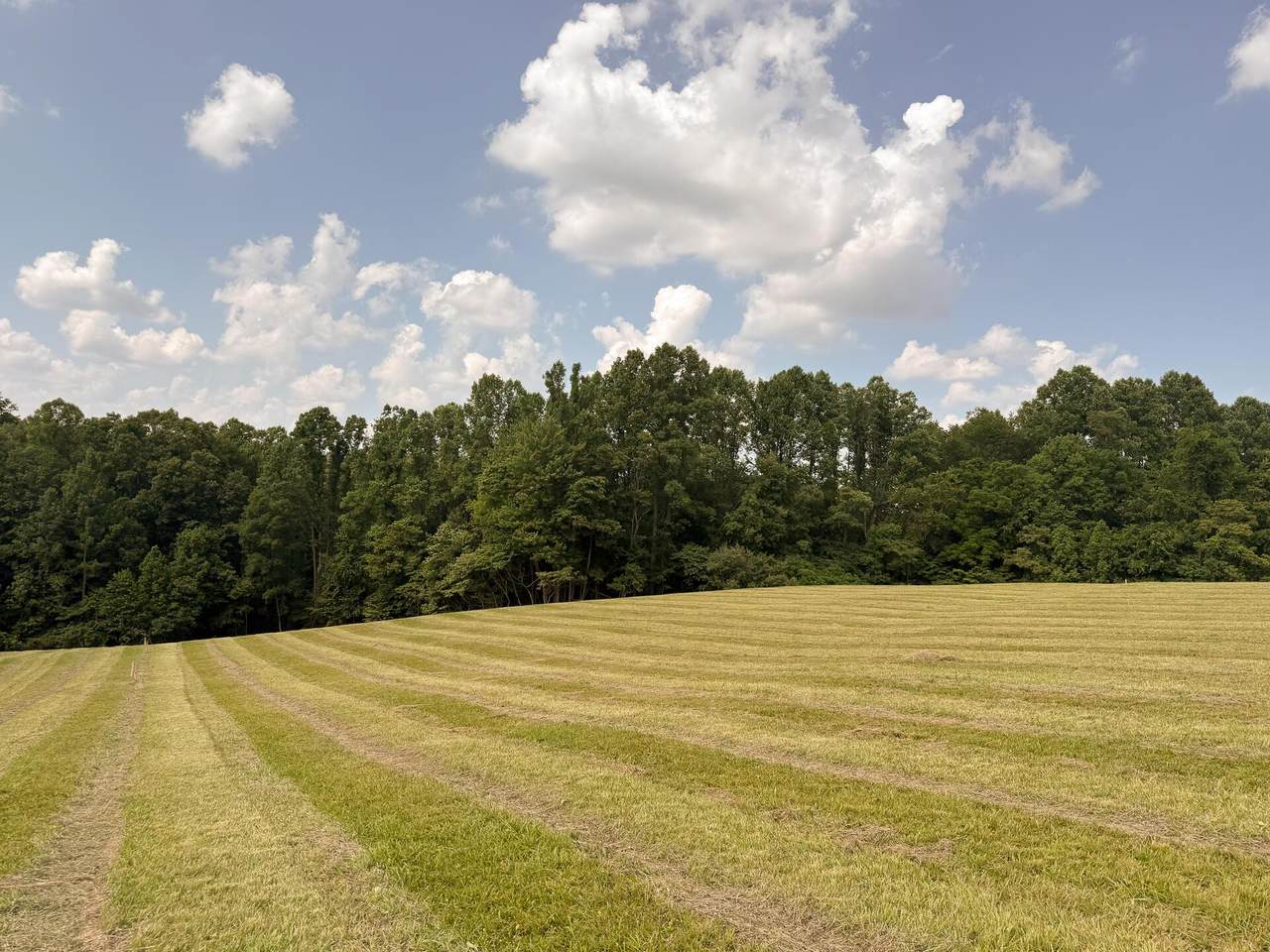 https://bt-photos.global.ssl.fastly.net/columbus/1280_boomver_1_225035750-2.jpg