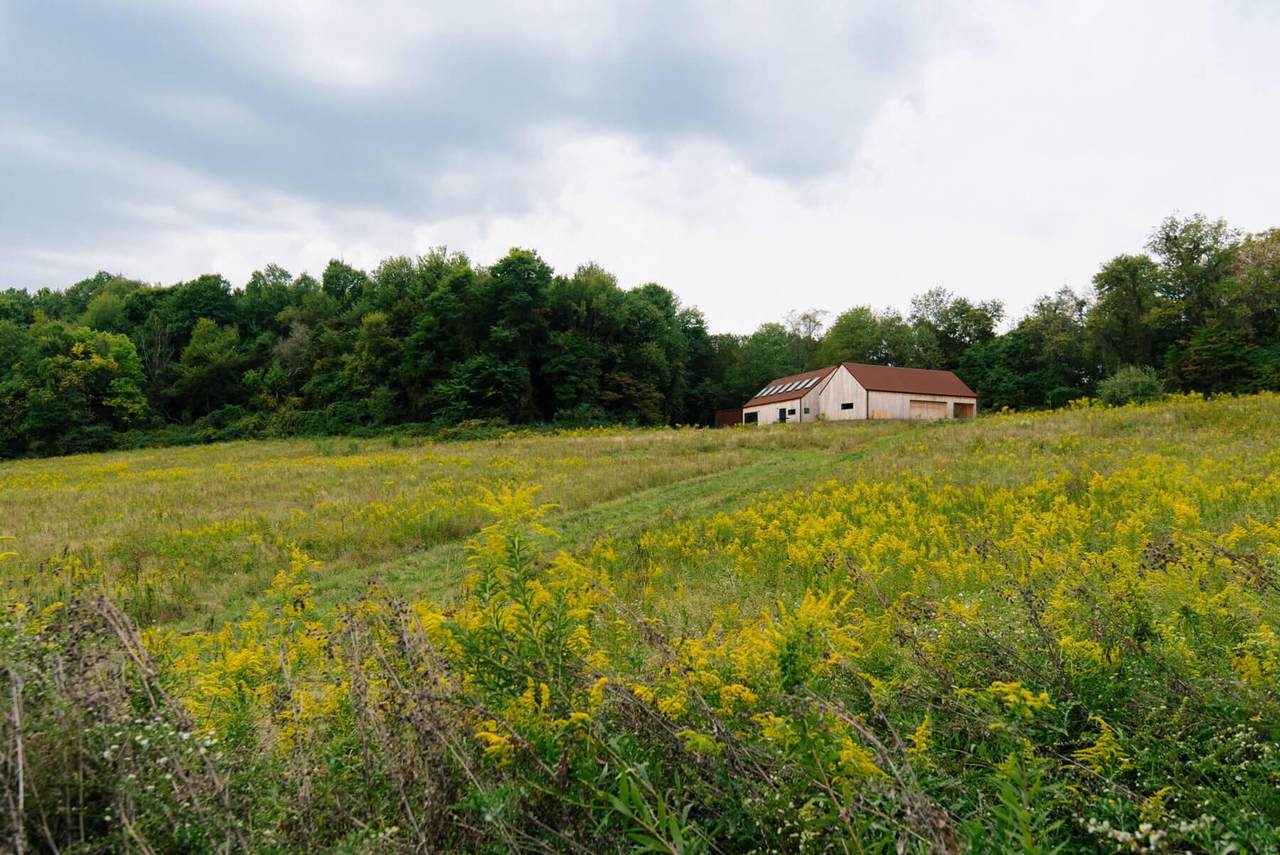 14686 National Road - Photo 1