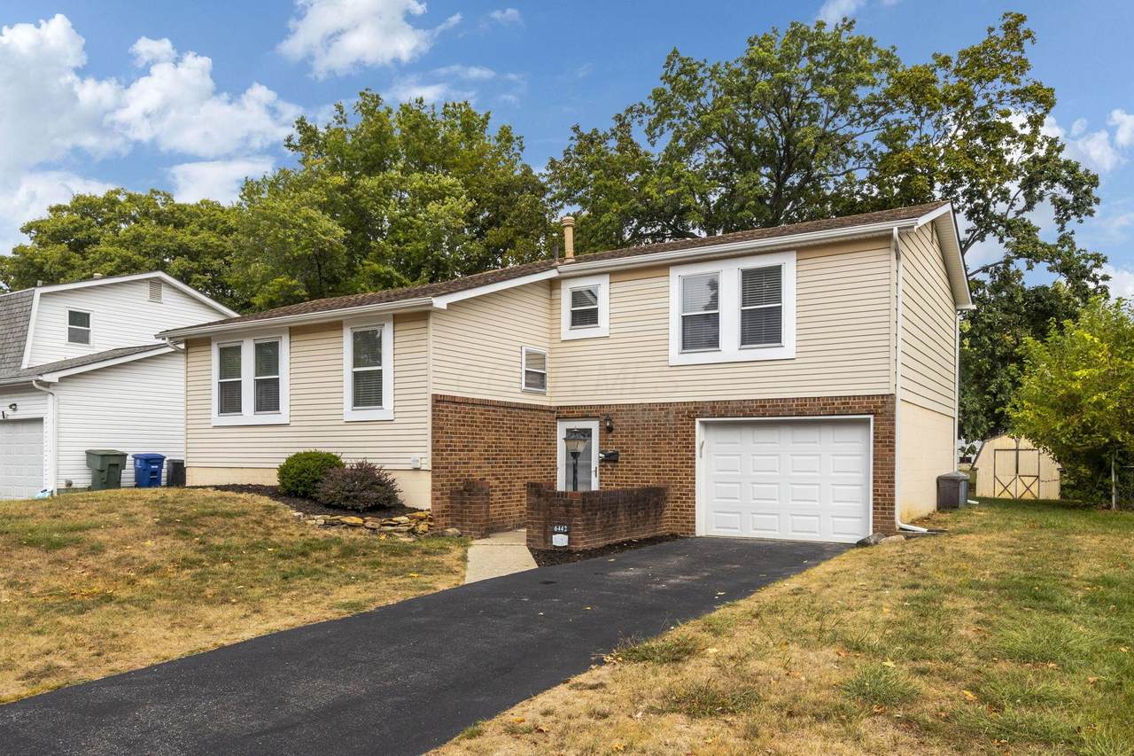 6442 Borr Avenue - Photo 1