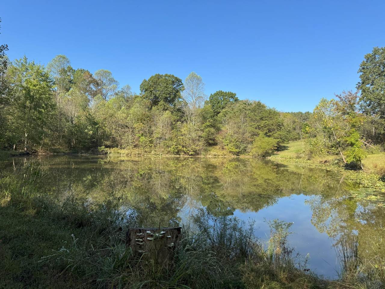 0 Mckinney Road - Photo 1