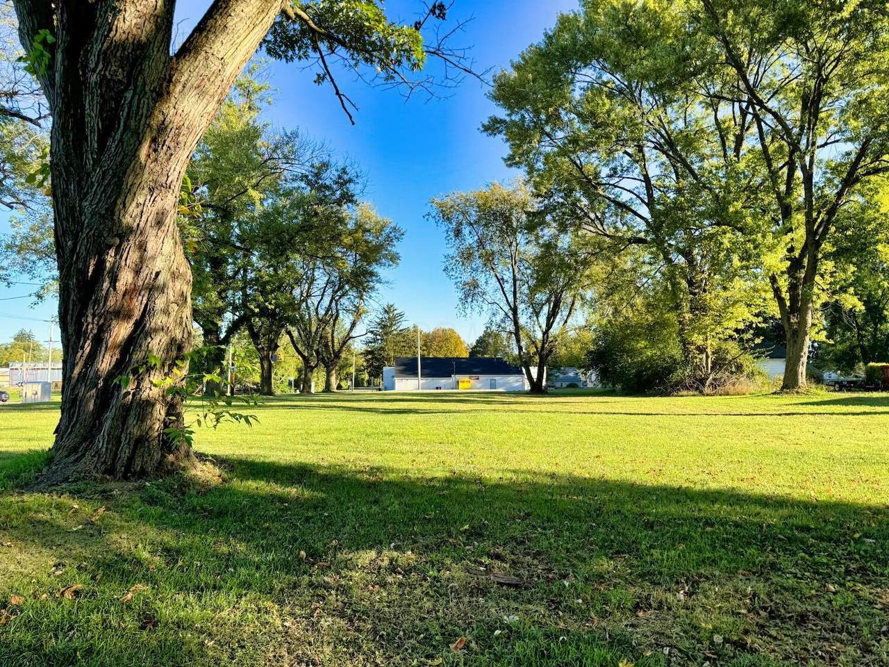 0 S Main Street - Photo 1