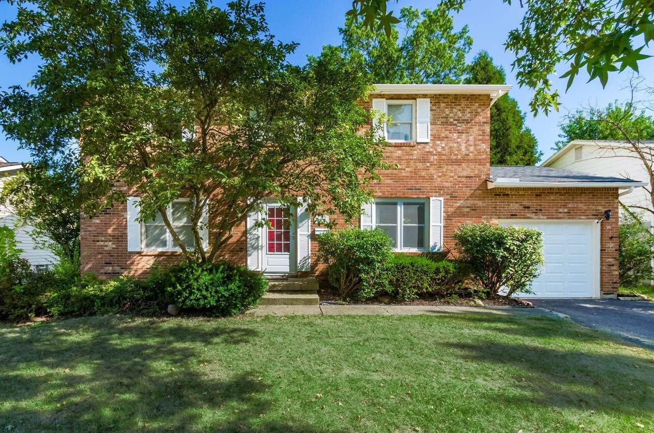 6526 Borr Avenue - Photo 1