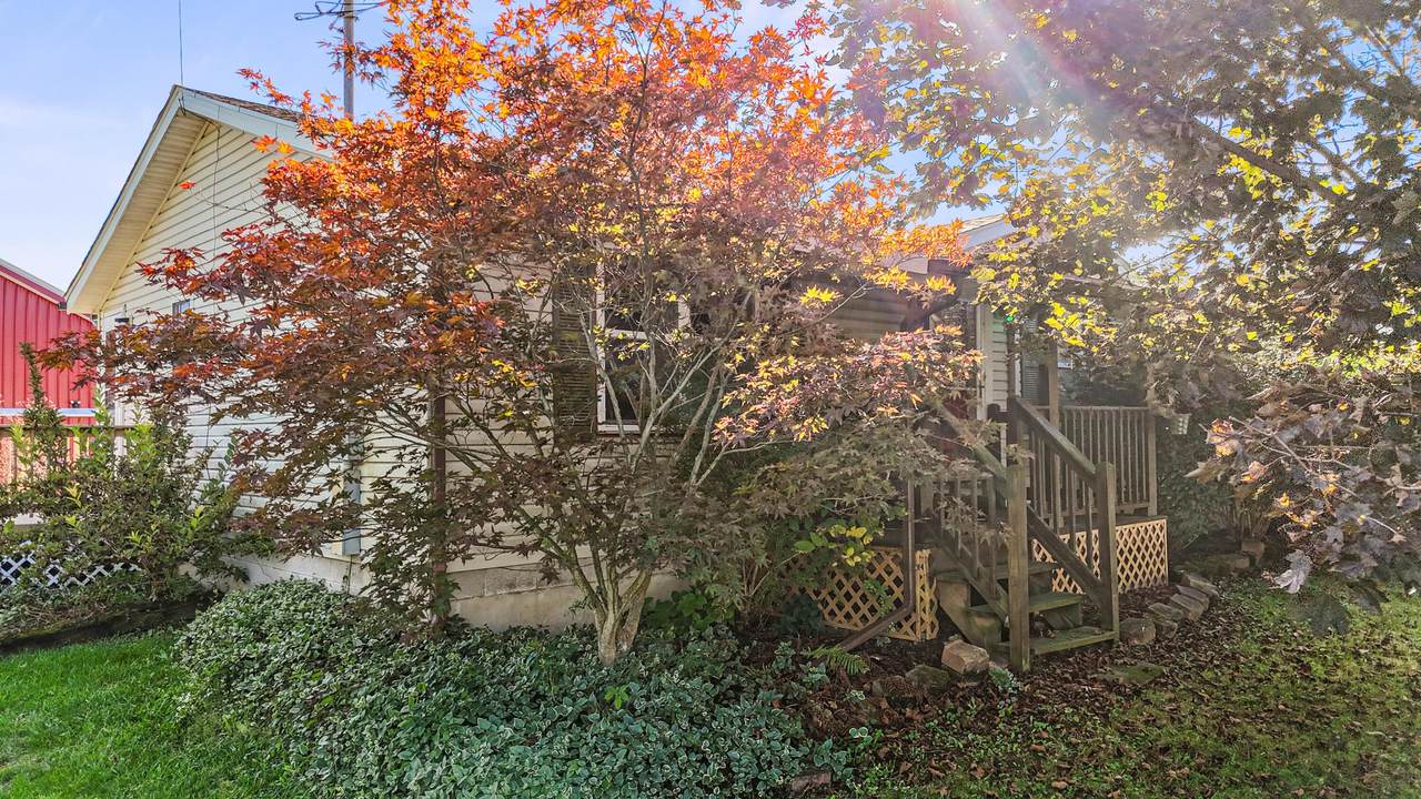 195 County Road 620 - Photo 1