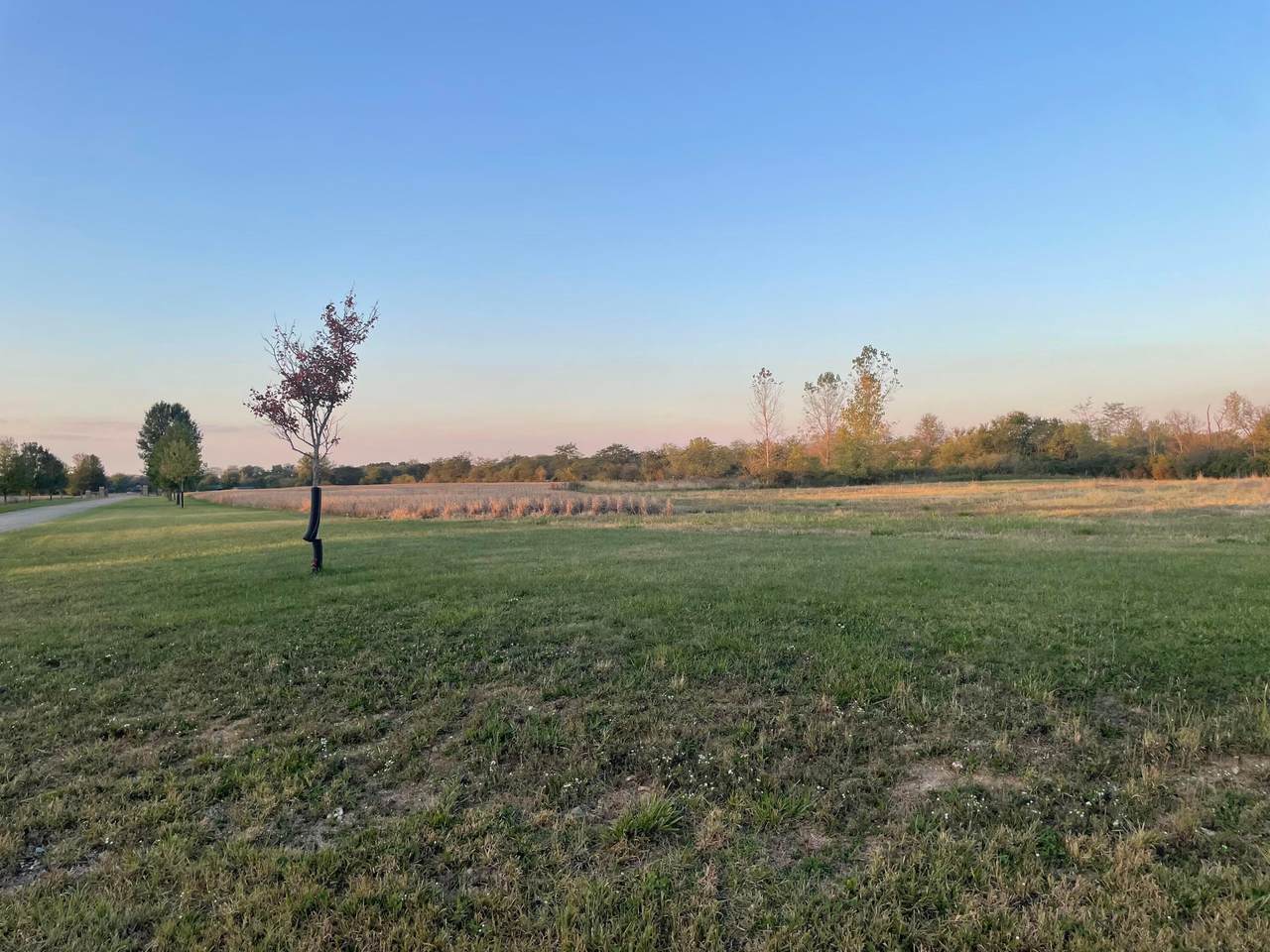 0 Washington Waterloo Road - Photo 1