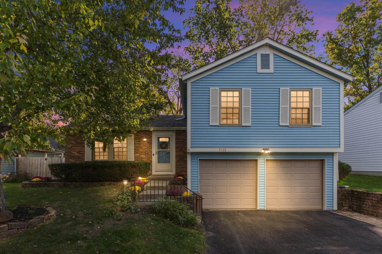 1133 Tillicum Drive - Photo 1