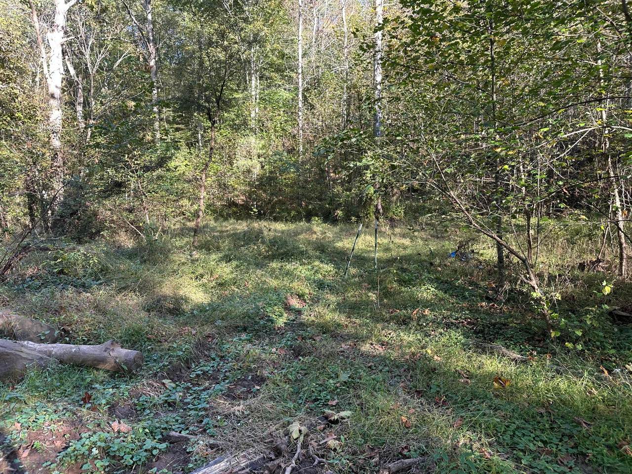39454 Boston Road - Photo 1