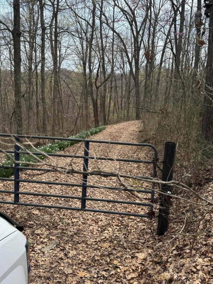 0 Bellia Rd Road - Photo 1