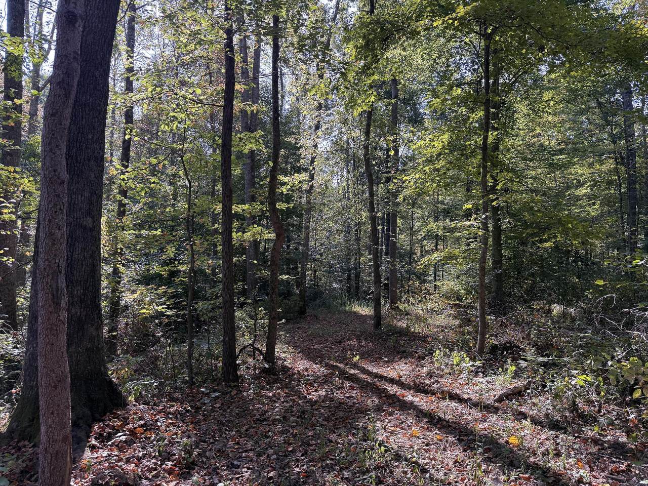 https://bt-photos.global.ssl.fastly.net/columbus/1280_boomver_1_225041052-2.jpg