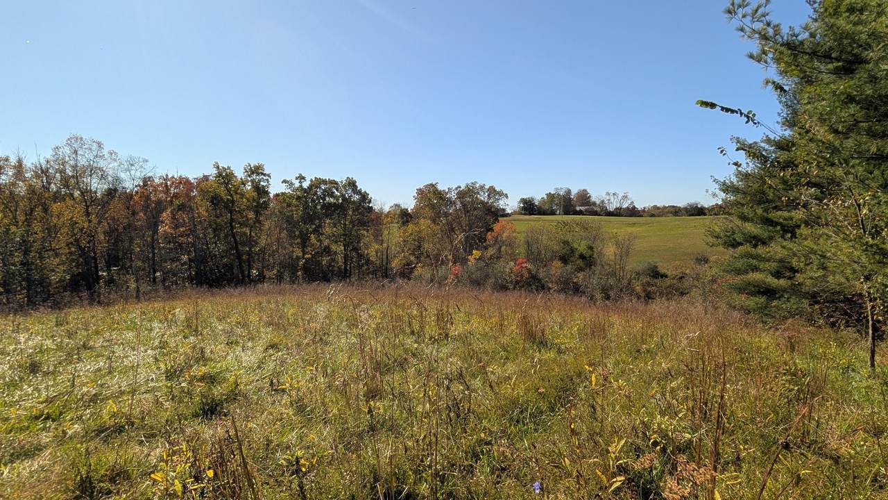 8649 Portie-Flamingo Road - Photo 1