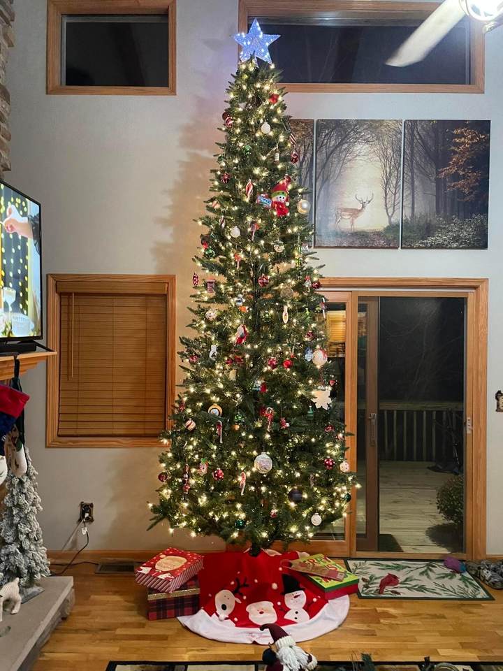 1665 Alpine Drive - Photo 1