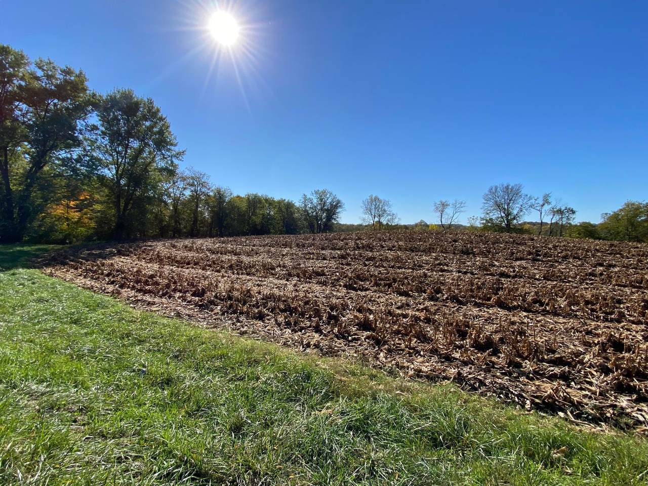 1862 Hallie Lane - Photo 1