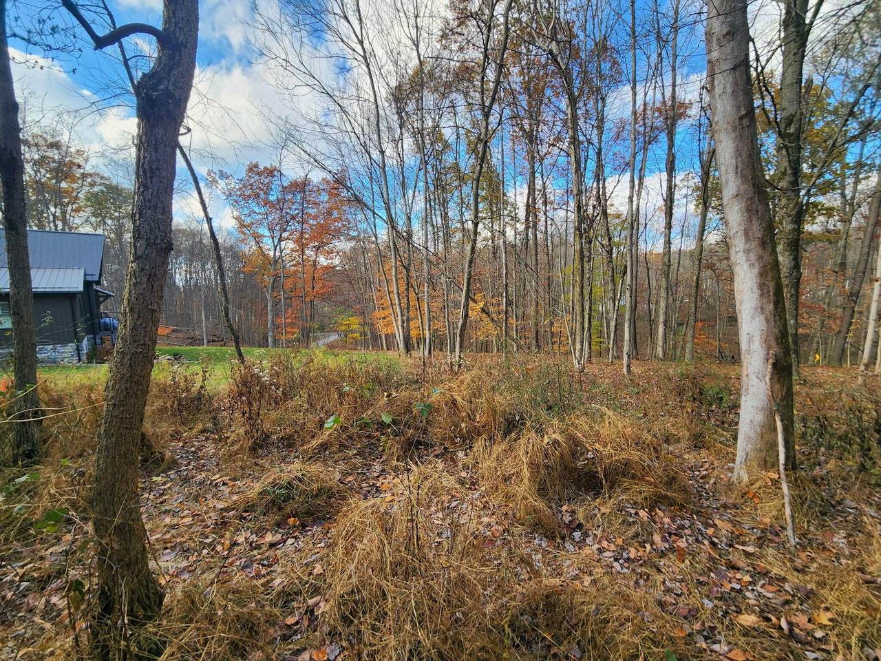 0 King Beach Drive - Photo 1