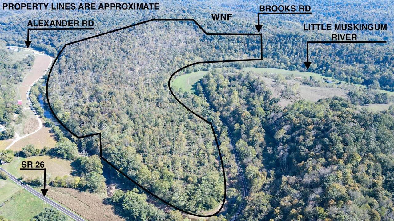 Lot 1 Brooks Road - Photo 1