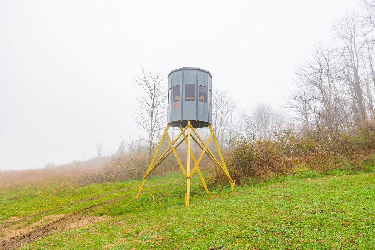 153 County Road 3 - Photo 1