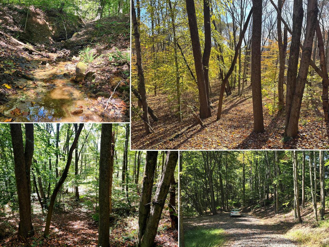 929-(Ponds Poplar Ri Poplar Ridge Road - Photo 1