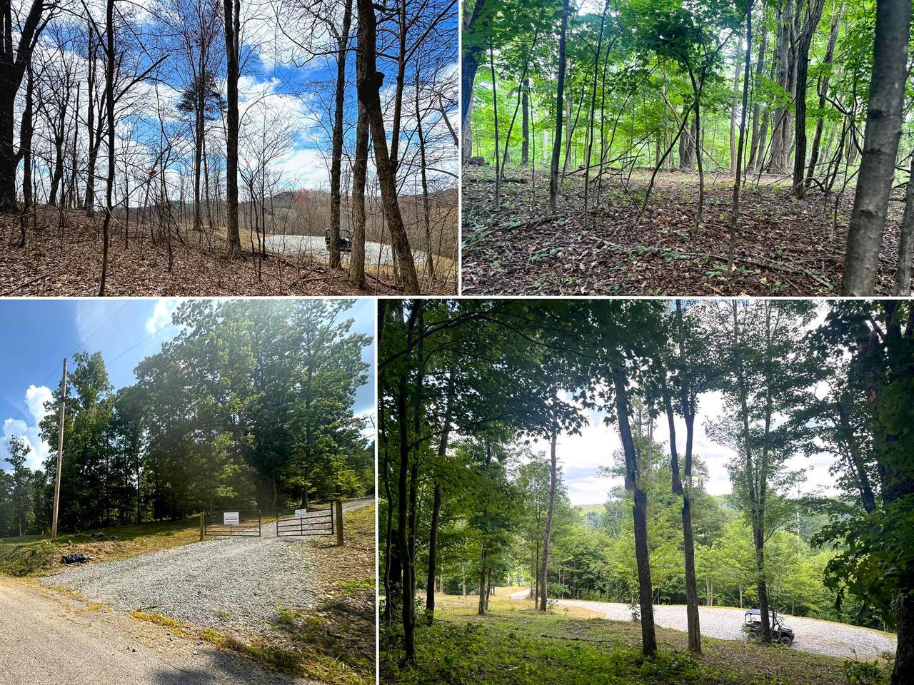 100-(Tract 12 Skylin Golf Course Road - Photo 1