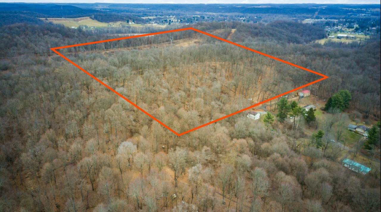 0 Burch Drive - Photo 1