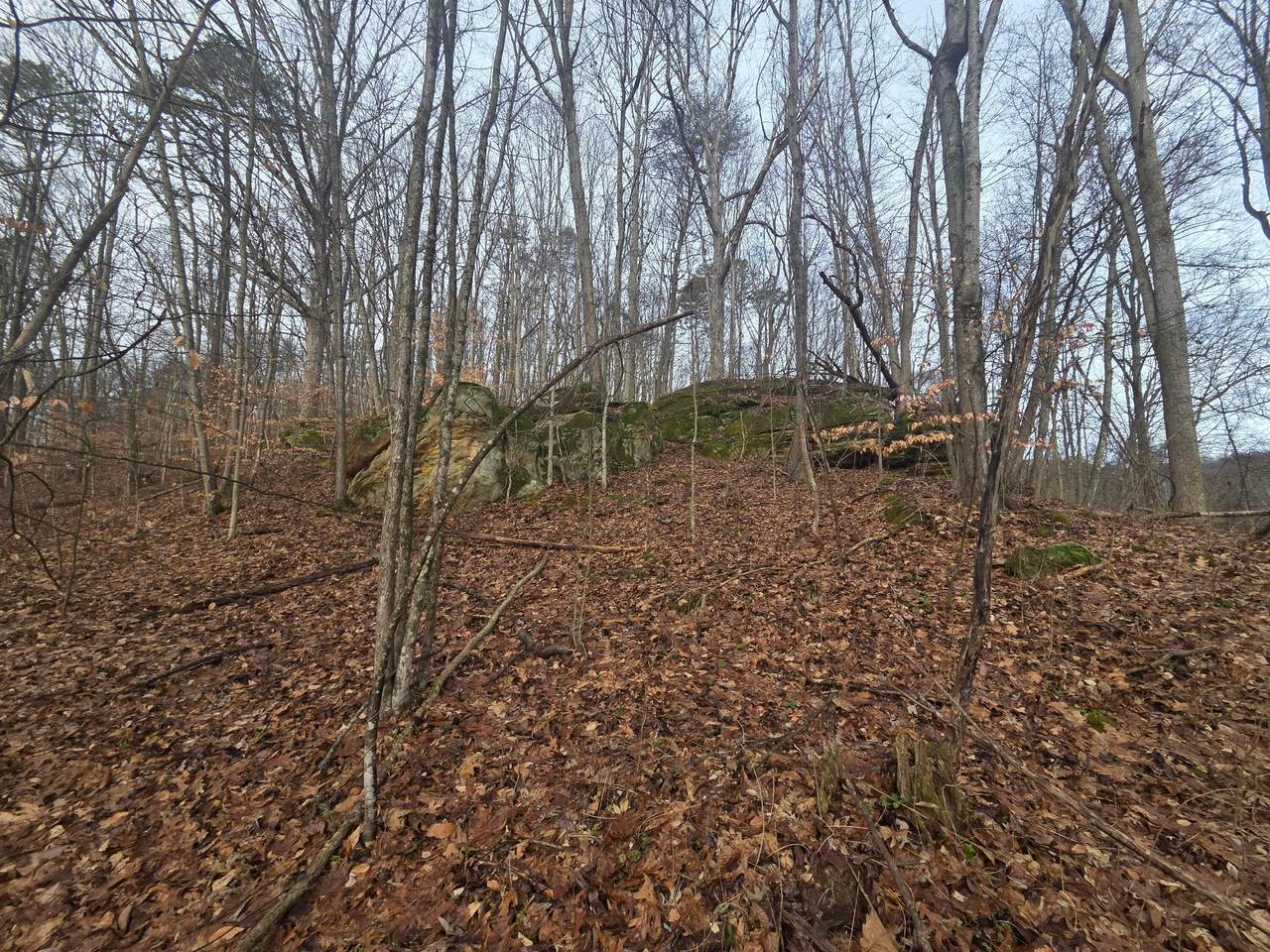 12001 Buck Run Road - Photo 1