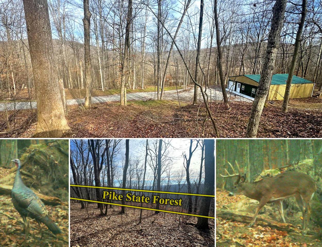 201-(Tract 3 Barn Pi Pike Lake Rd Road - Photo 1