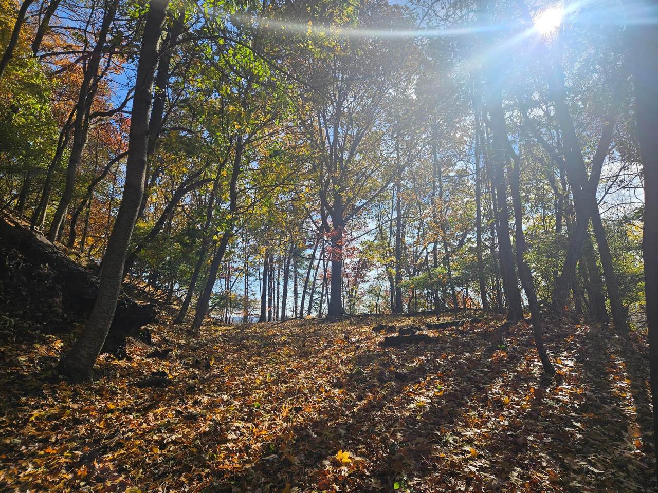 0 Hillside Avenue - Photo 1