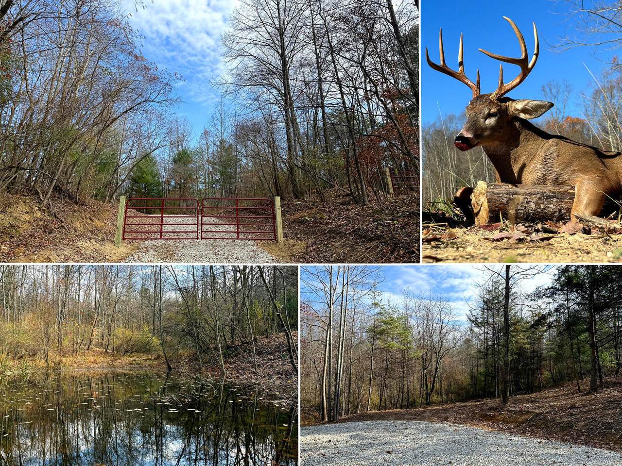0-(Woods Turkey Run  Dutch Ridge Road - Photo 1