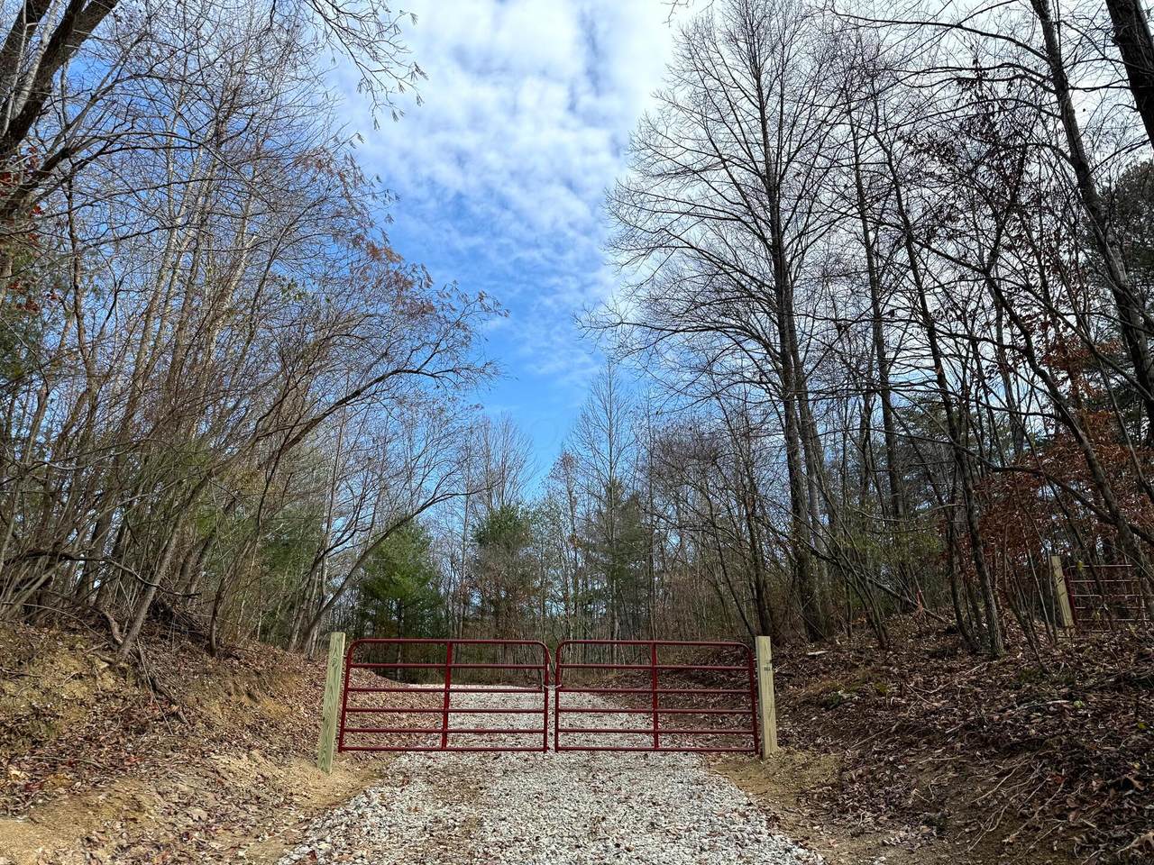 https://bt-photos.global.ssl.fastly.net/columbus/1280_boomver_1_226001592-2.jpg