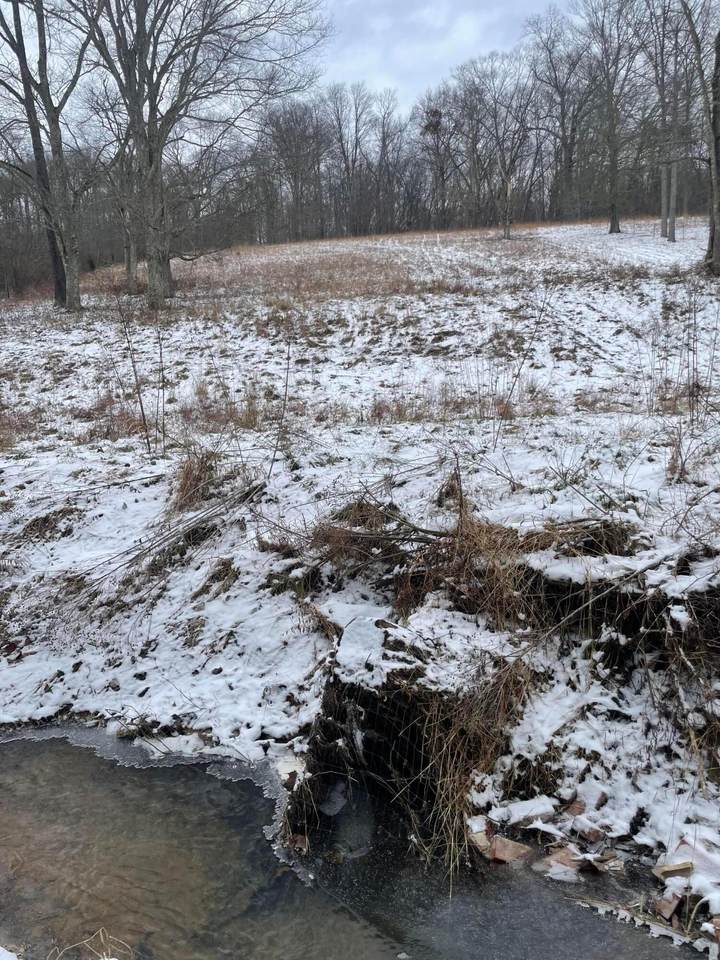 15860 Stump Run - Photo 1