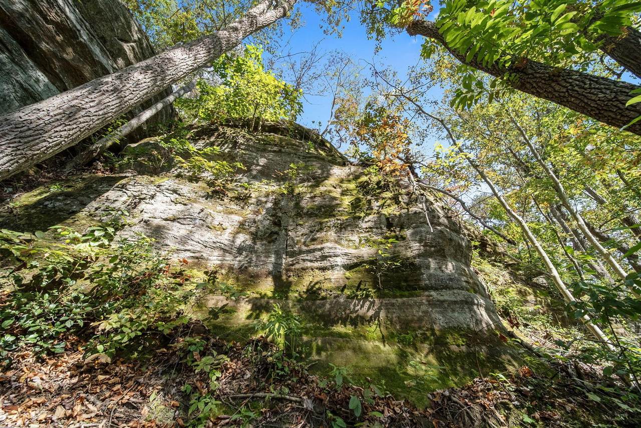 12089 Cantwell Cliffs Road - Photo 1