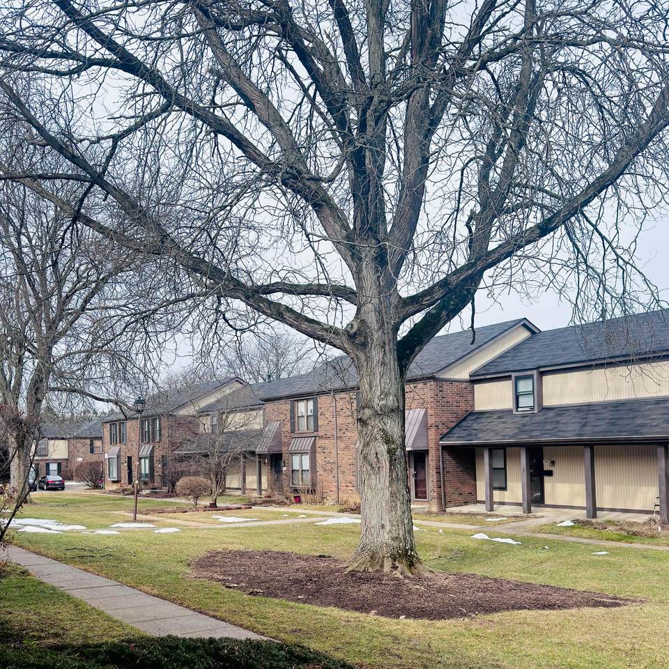 5778 Lucinda Court - Photo 1