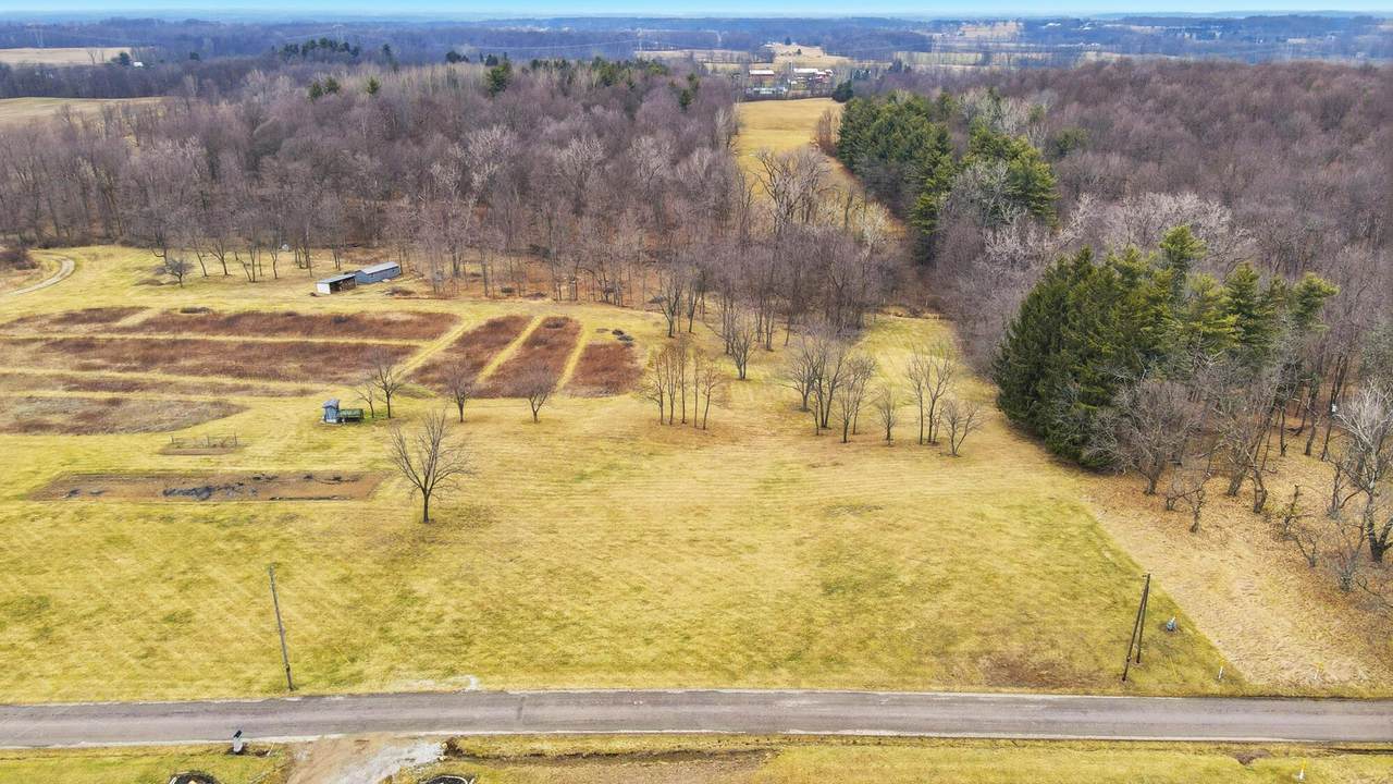 0 Lundy's Lane Road - Photo 1