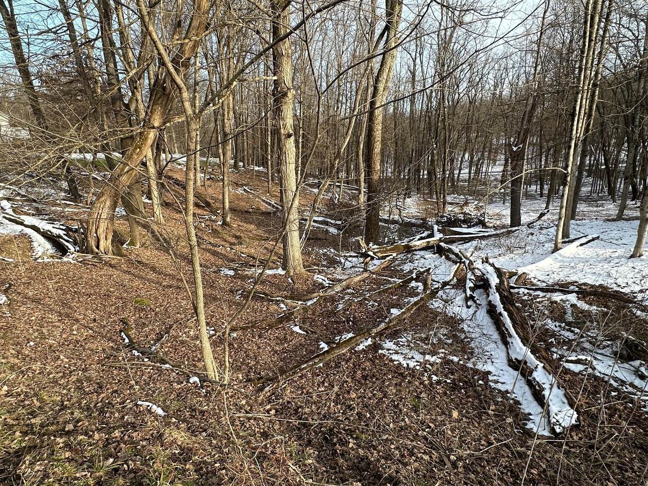 0 Crestrose Drive - Photo 1