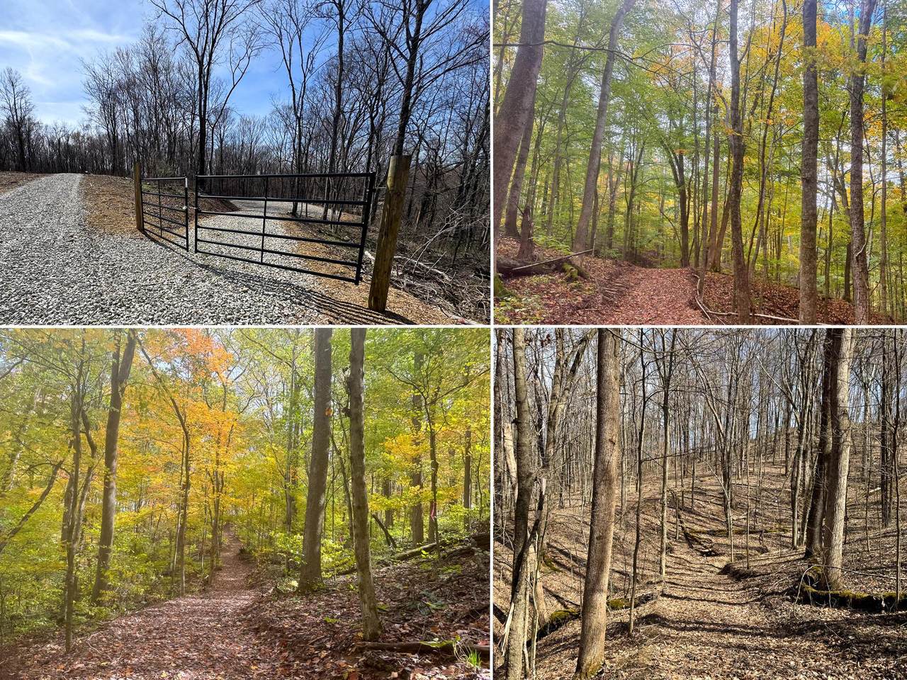7471-(Tract 4 at Sha Township Rd 215-A - Photo 1