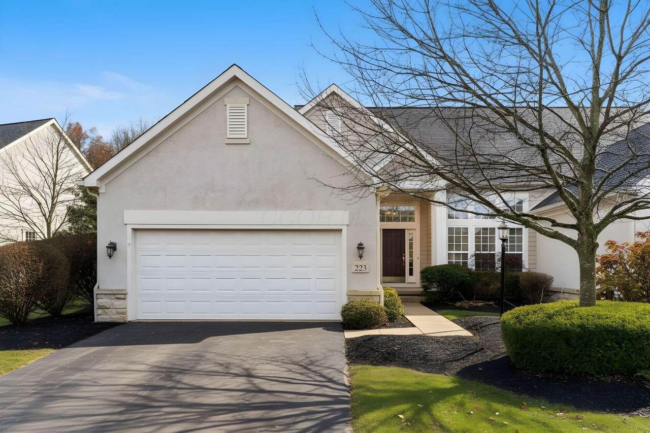 223 Tinley Park Circle - Photo 1