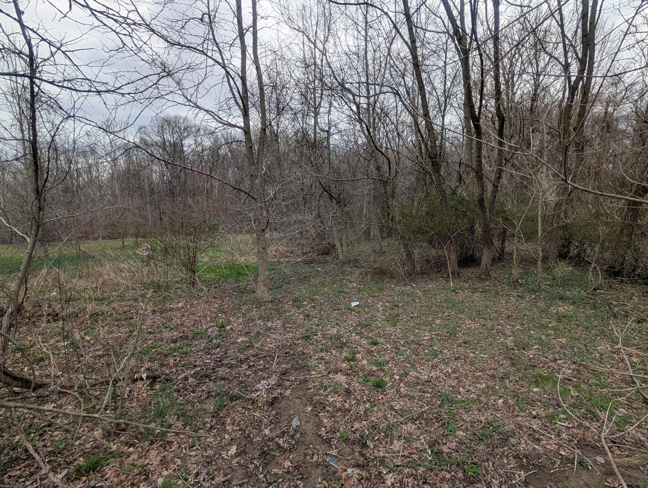 https://bt-photos.global.ssl.fastly.net/columbus/1280_boomver_1_226009471-2.jpg