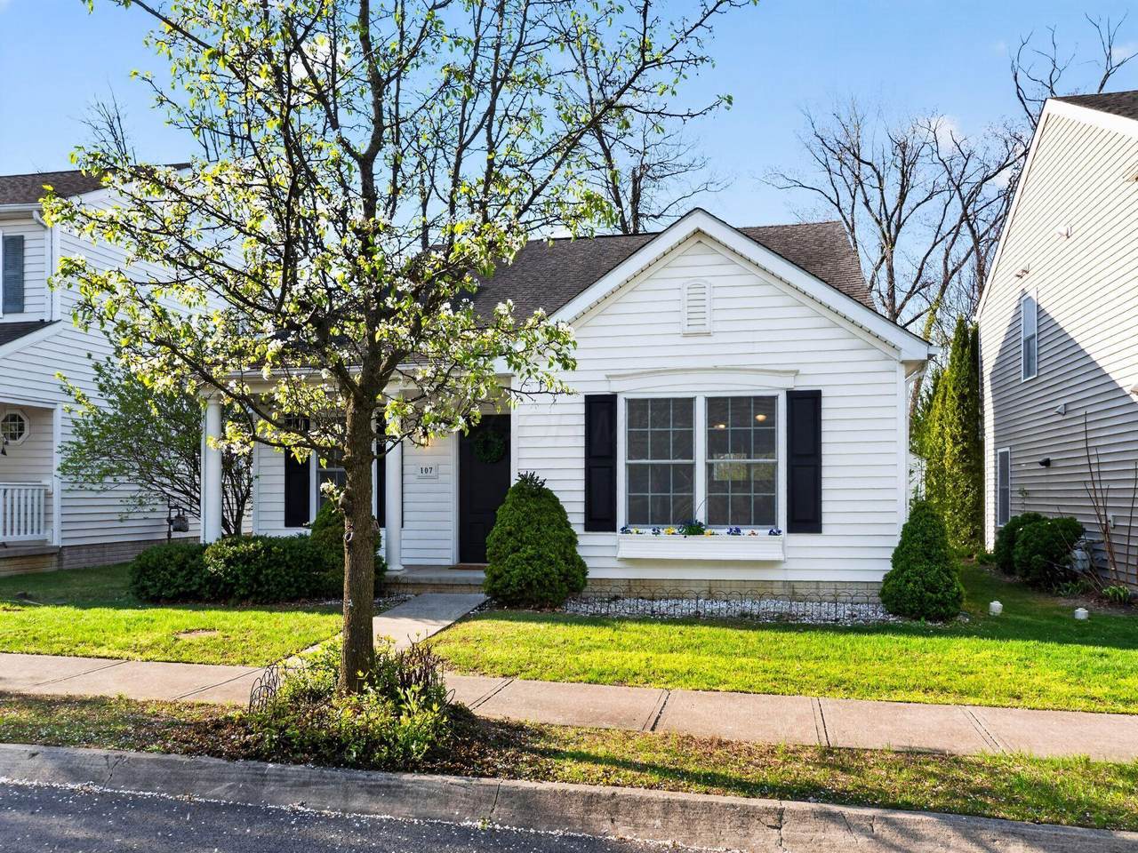 107 Arrowfeather Lane - Photo 1