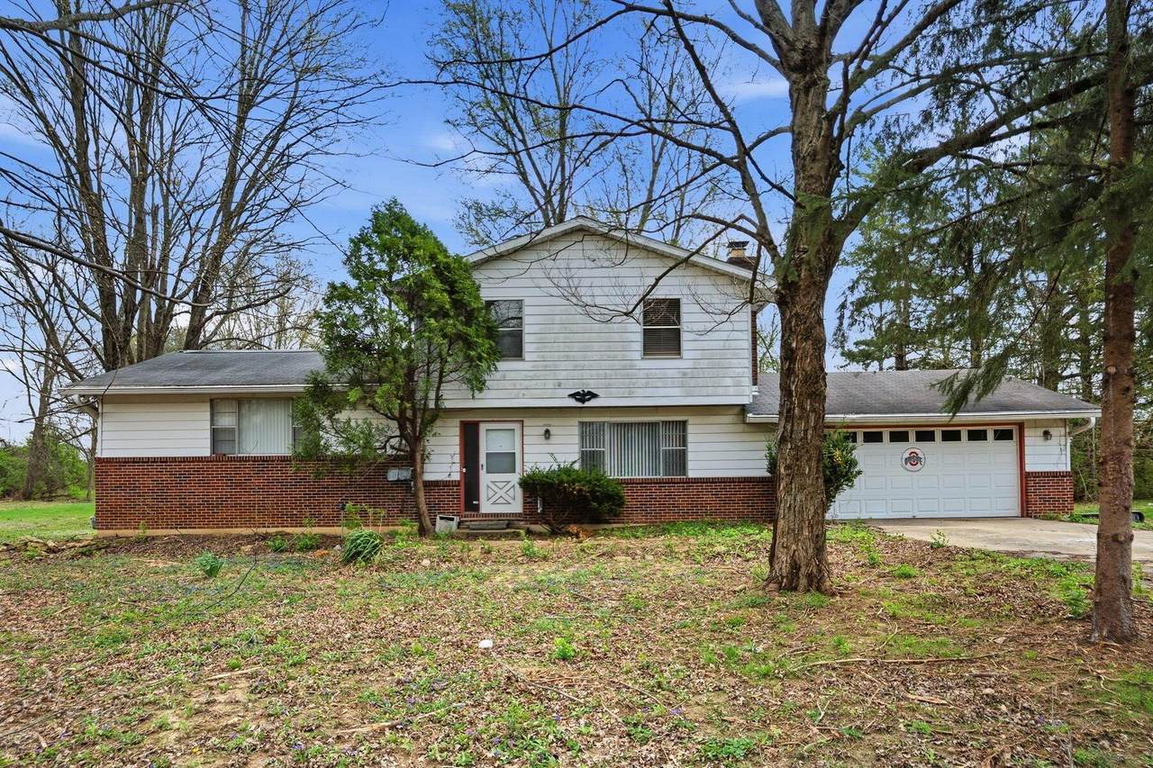 6943 Harlem Road - Photo 1