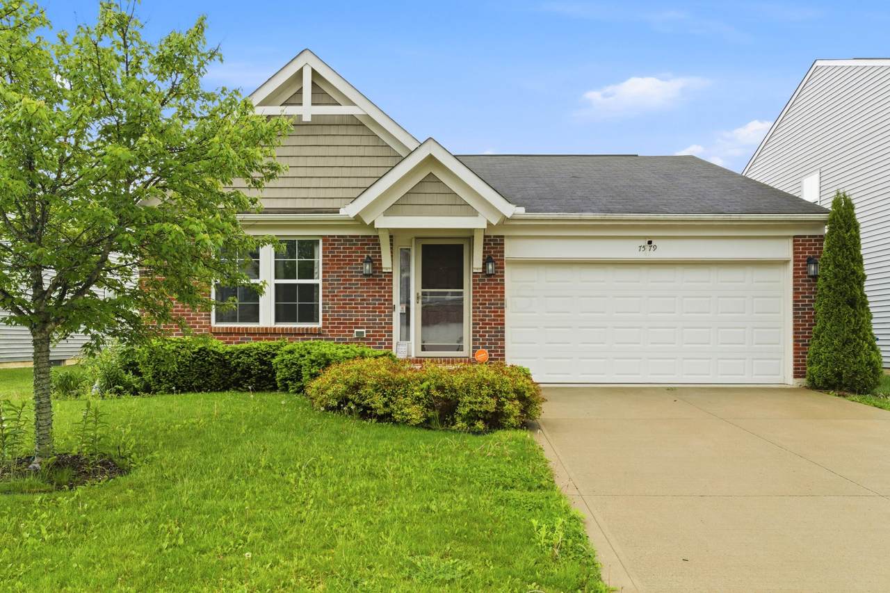 7579 Maple Trunk Drive - Photo 1