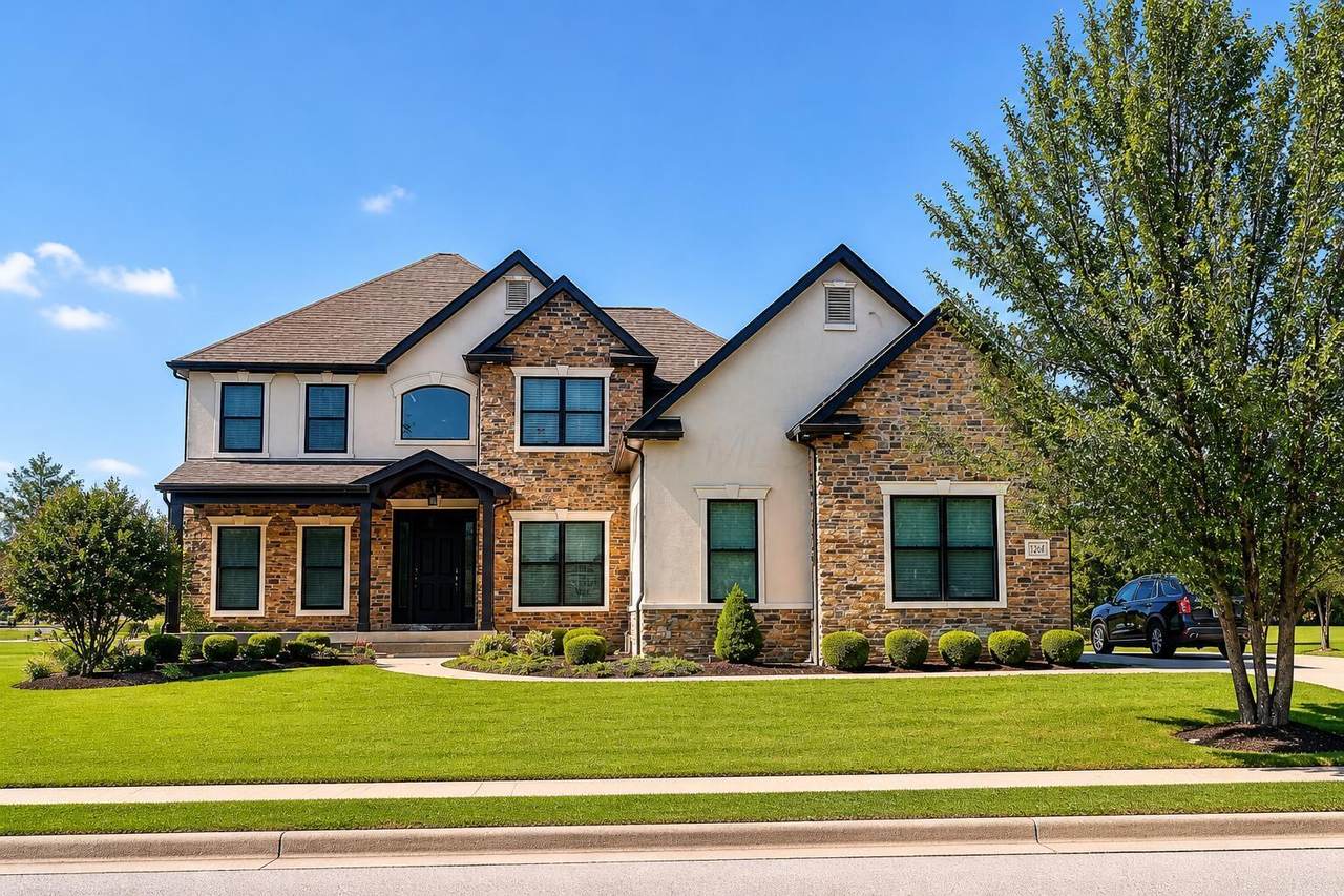 7247 Optimara Drive - Photo 1