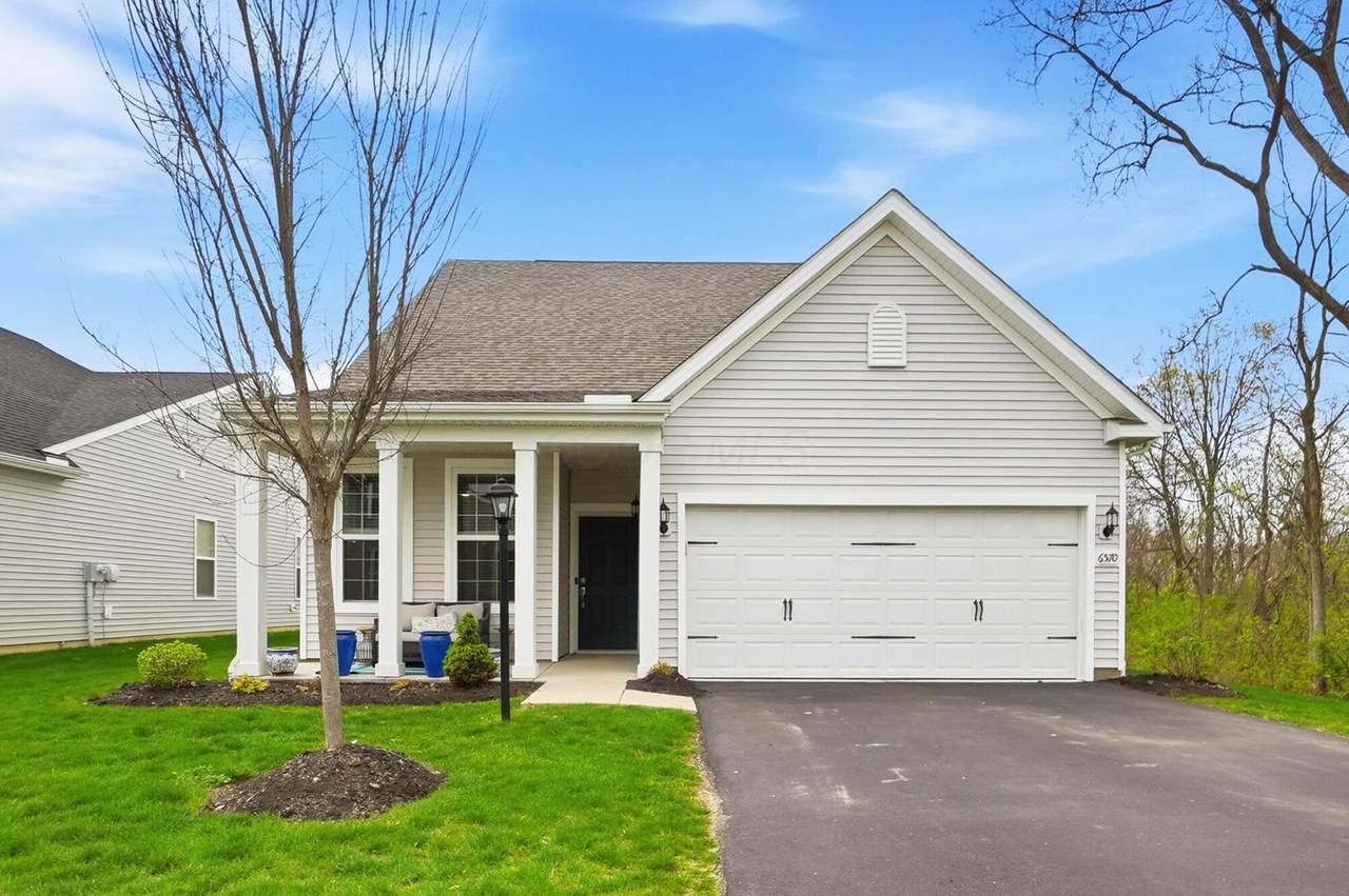 6570 Littlefield Drive - Photo 1