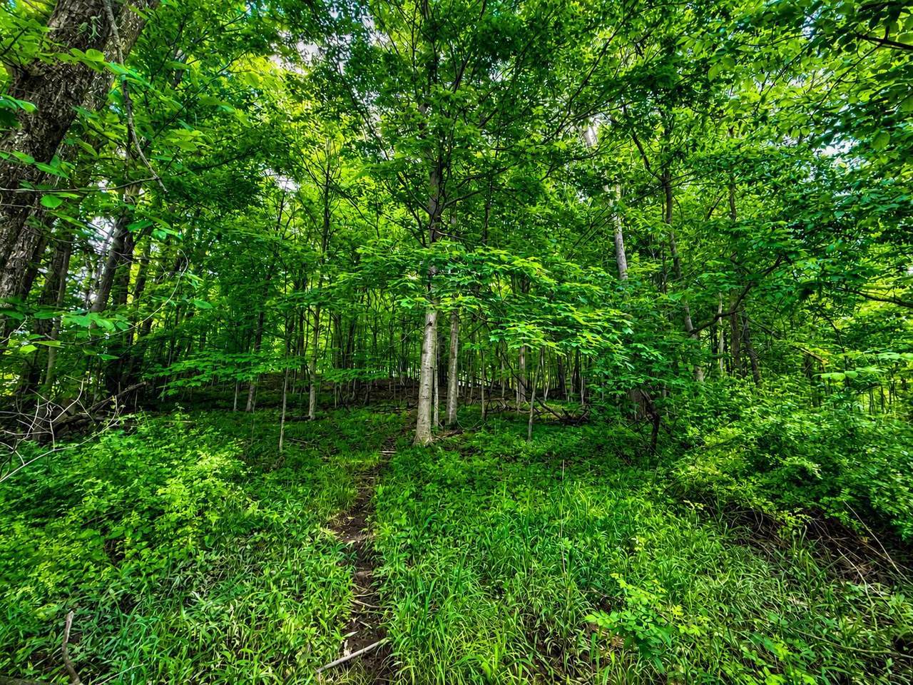 https://bt-photos.global.ssl.fastly.net/columbus/1280_boomver_1_226016507-2.jpg